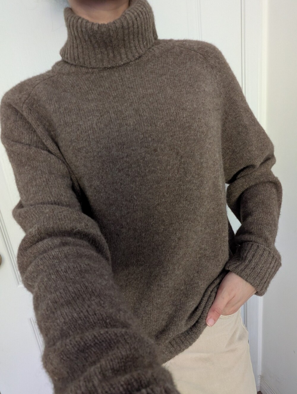 Quince Tibetan Yak Wool Turtleneck Sweater in Heather Brown